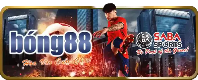 Cá cược bóng đá trên sân cỏ xanh mướt